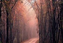 九游:63天12000公里!2026米兰冬奥会火炬传递路线公布人民日报客户端.