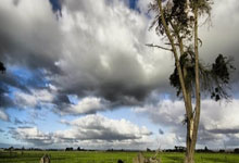 九游:早报:巴萨3-0奥萨苏纳,豪取西甲8连胜.